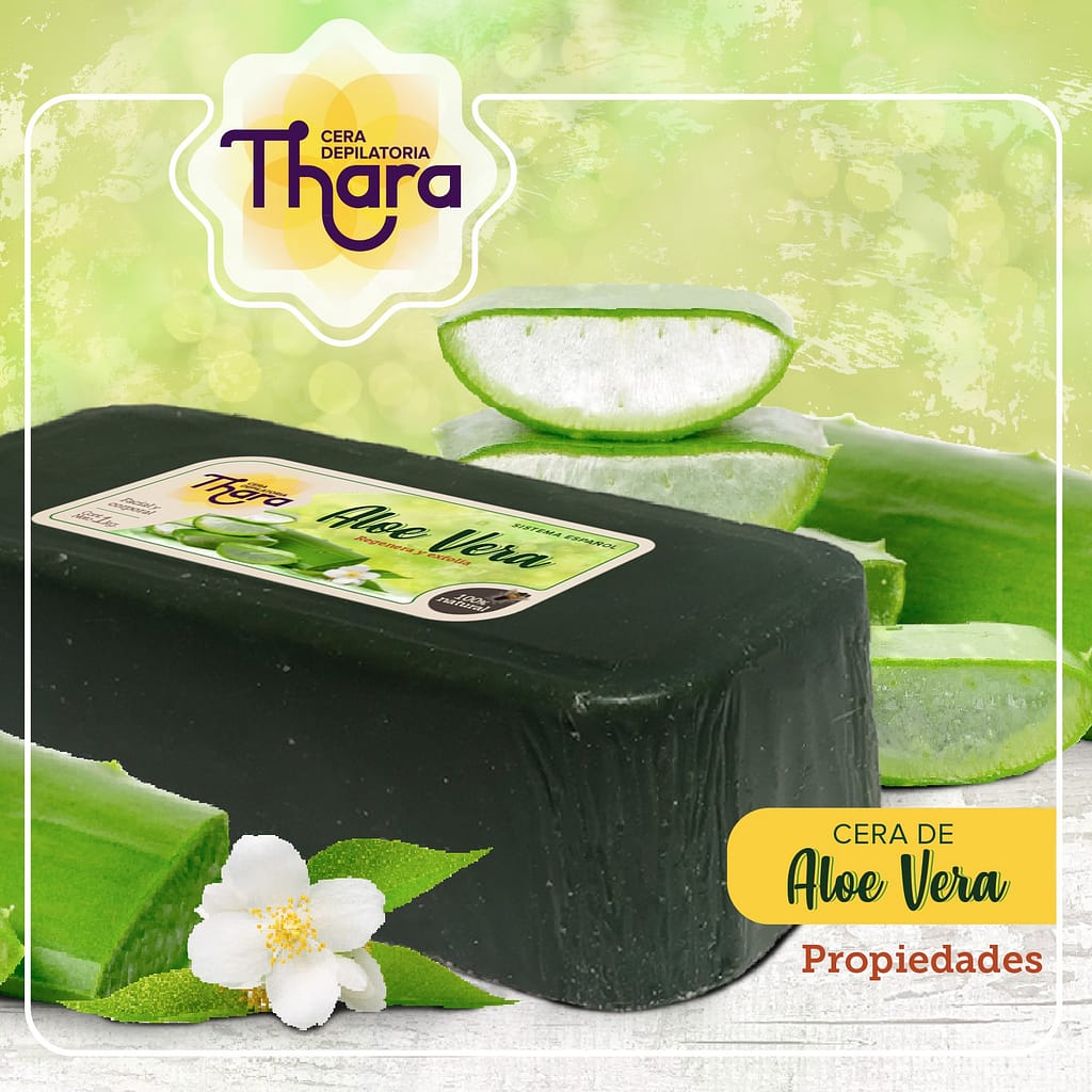 Producción audiovisual en Mexicali por Yasunari Murayama, LOGO THARA 3